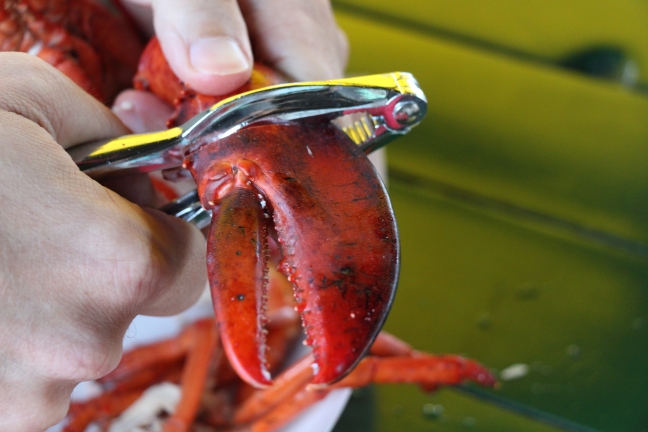 Cracking Lobster Claw