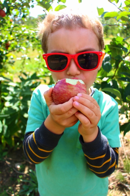a boy and his apple